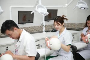 Top Countries to Study Dentistry in Europe: Costs, Programs, and Admission Requirements
